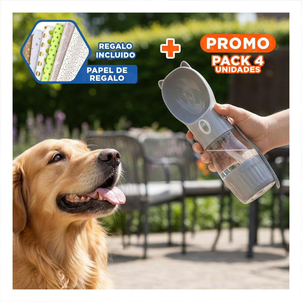 Pack4 Botella Compacta Gato Plomo para Mochila Escolar Y+Papel Regalo