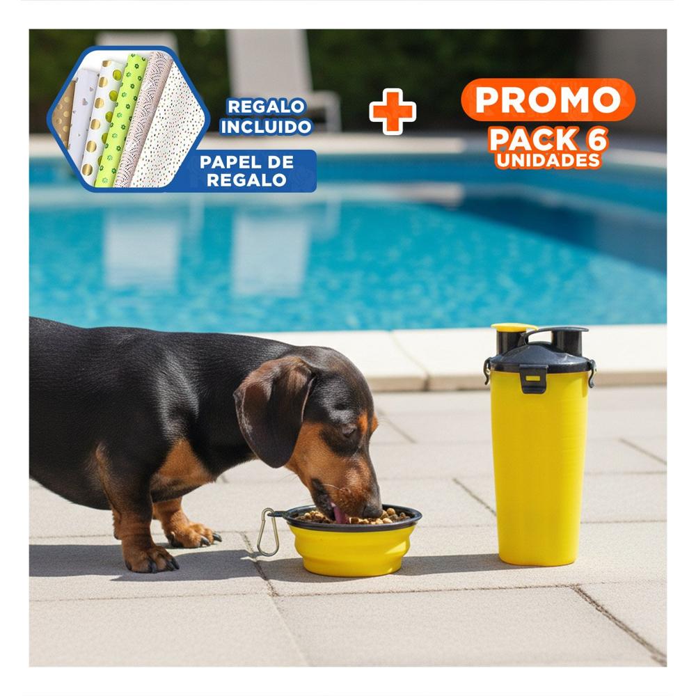 Pack6 Contenedor Compacto con Comedero y Plato Amarillo Y+Papel Regalo