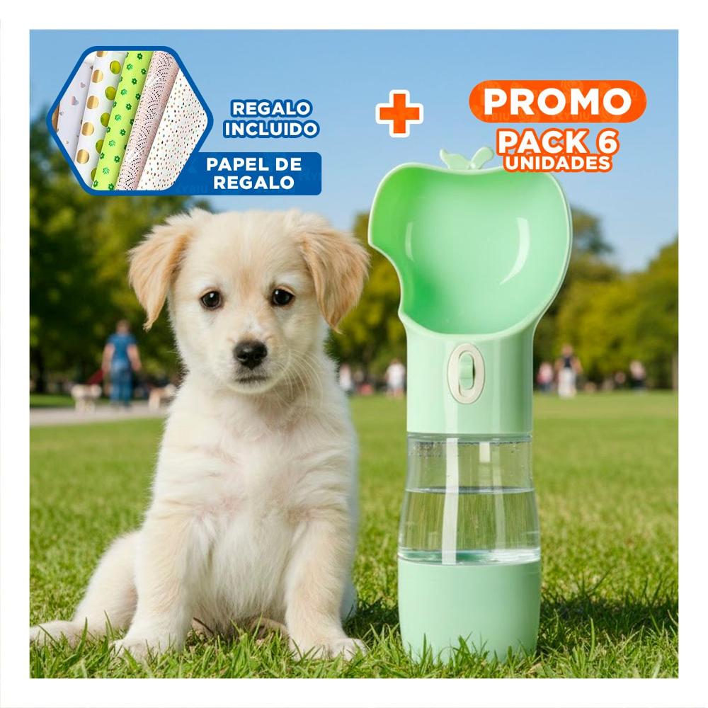 Pack6 Envase Compacto Verde Tipo Manzana Y+Papel Regalo