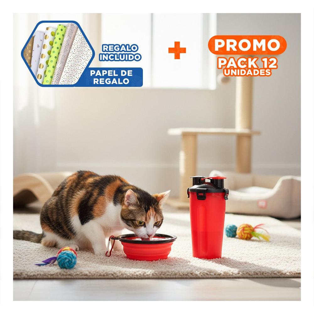 Pack12 Plato Plegable con Comedero y Bebedero Rojo Y+Papel Regalo