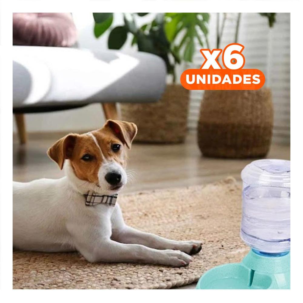 Pack6 Modulo Practico para Perro Circular con Bidon de Plastico Verde Y+Regalo Sticker