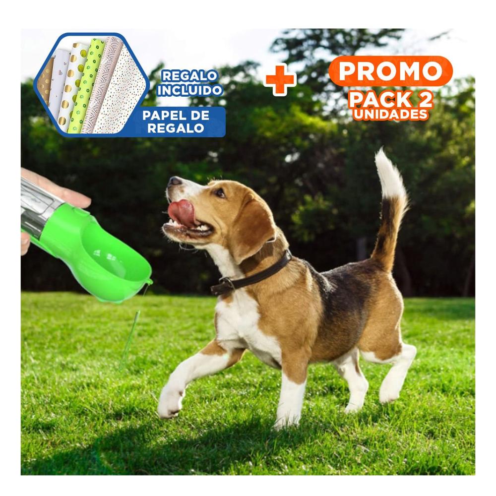 Pack2 Propuesta 4 en 1 Dispensador con Bolsita Verde Mediano Compacto Y+Papel Regalo