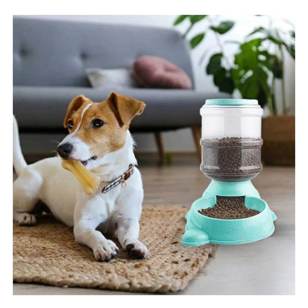 Modulo de Agua para Perro Circular con Bidon de Plastico Verde