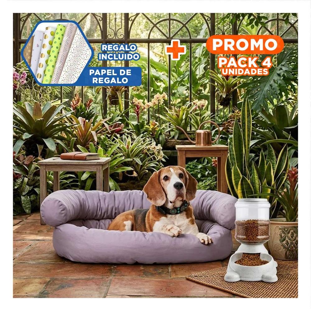 Pack4 Estructura de Agua para Perro Circular con Bidon de Plastico Plomo Y+Papel Regalo