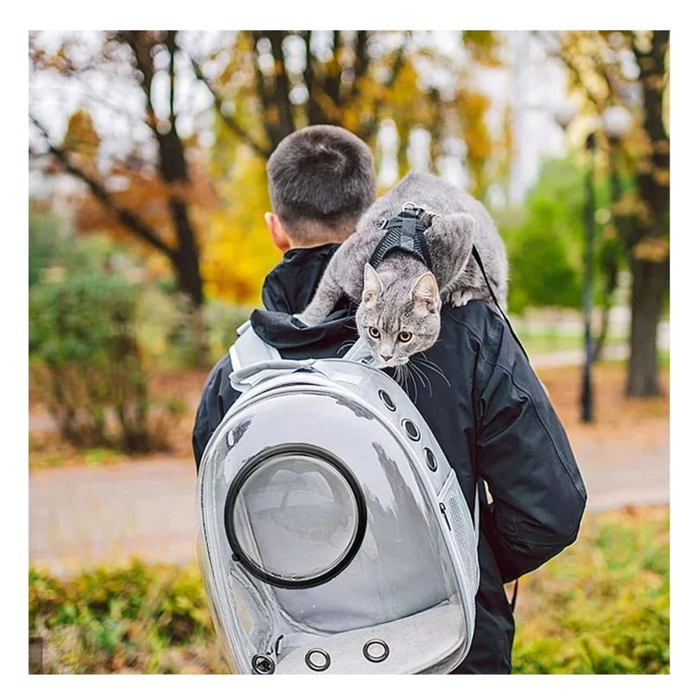 Transportador Viaje Transparente con Mini Capsula para Gato Gris Seguro Y+Ligas Regalo