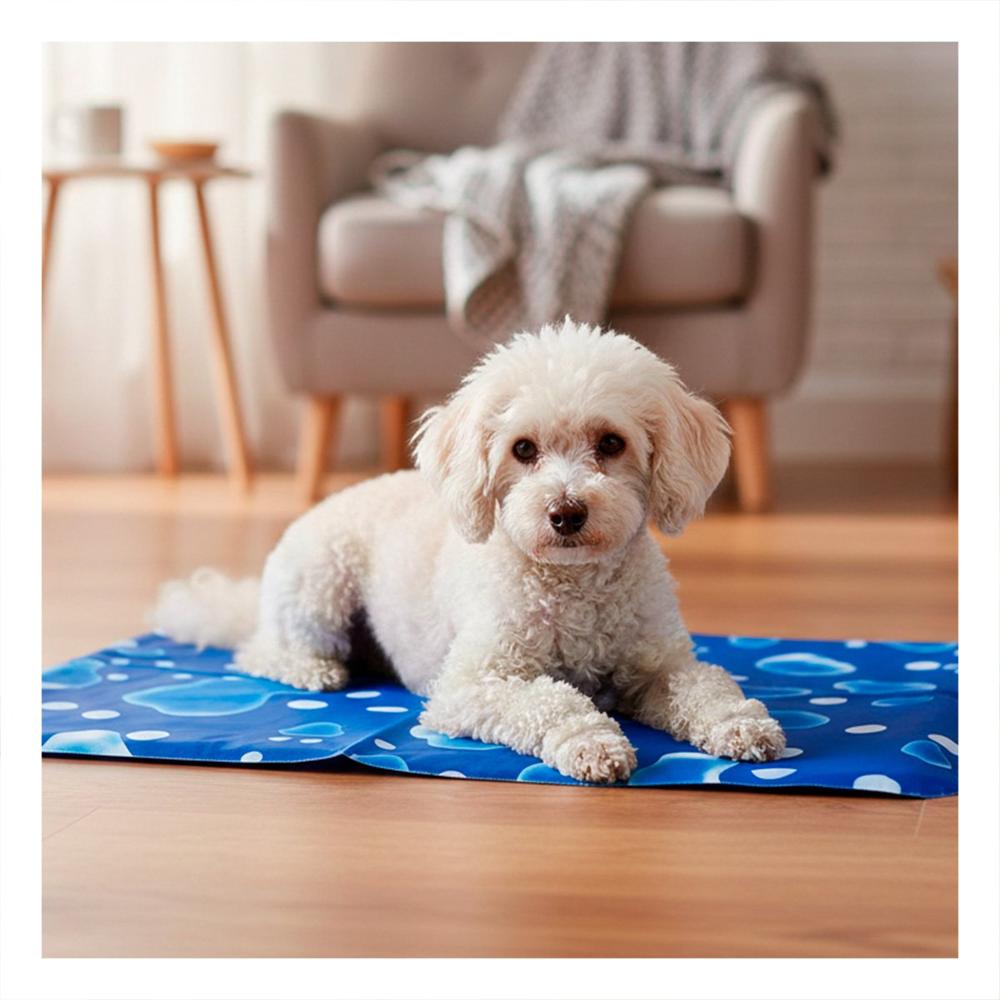 Base Acolchada Uso Domestico Estilo Burbujas 40x60cm M Azul Y+Ligas Regalo