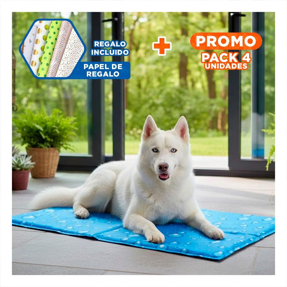 Pack4 Moqueta de Soporte Comodo para Area Animal 50x65cm MD Celeste Y+Papel Regalo