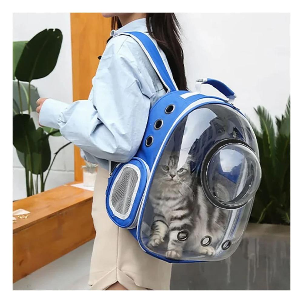 Soporte Burbuja Transparente con Mini Capsula para Gato Azul y Hogar Moderno Y+Post It