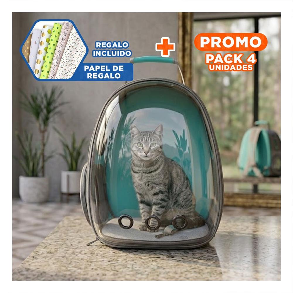 Pack4 Mochilita Ventana Transparente de Gato Verde para Viaje Diario Y+Papel Regalo