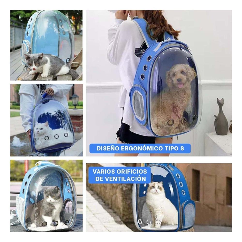 Modelo Burbuja Transparente para Gato Azul Transporte Seguro Hogar Y+Post It