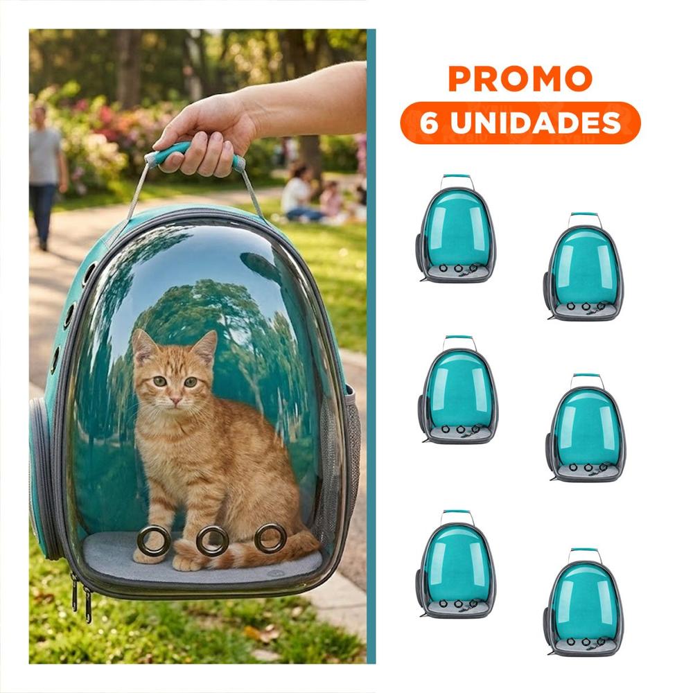 Pack6 Bolso Domo Transparente de Gato Verde para Transporte Diario