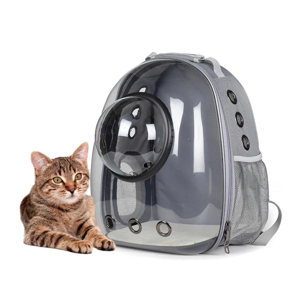 Morral Viaje Transparente con Mini Capsula para Gato Gris Moderno Y+Papel Regalo