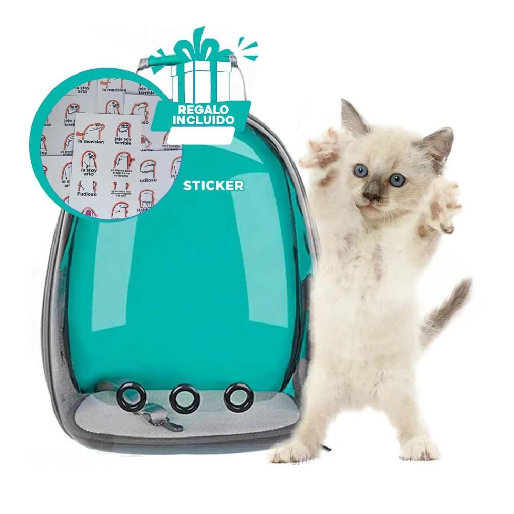 Portador Capsula Transparente de Gato Verde para Transporte Diario Y+Regalo Sticker
