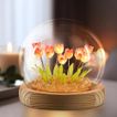 imageUrl_1