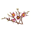 imageUrl_3