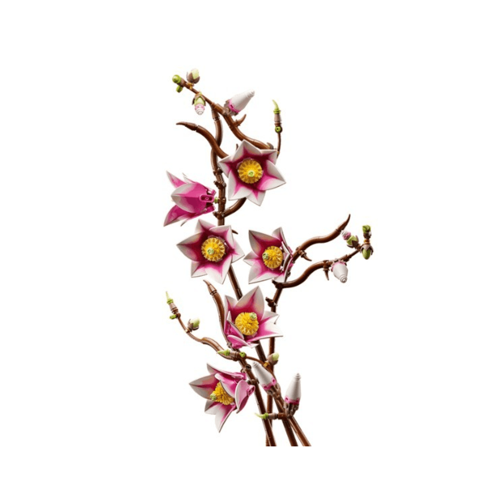 imageUrl_1 imageUrl_1