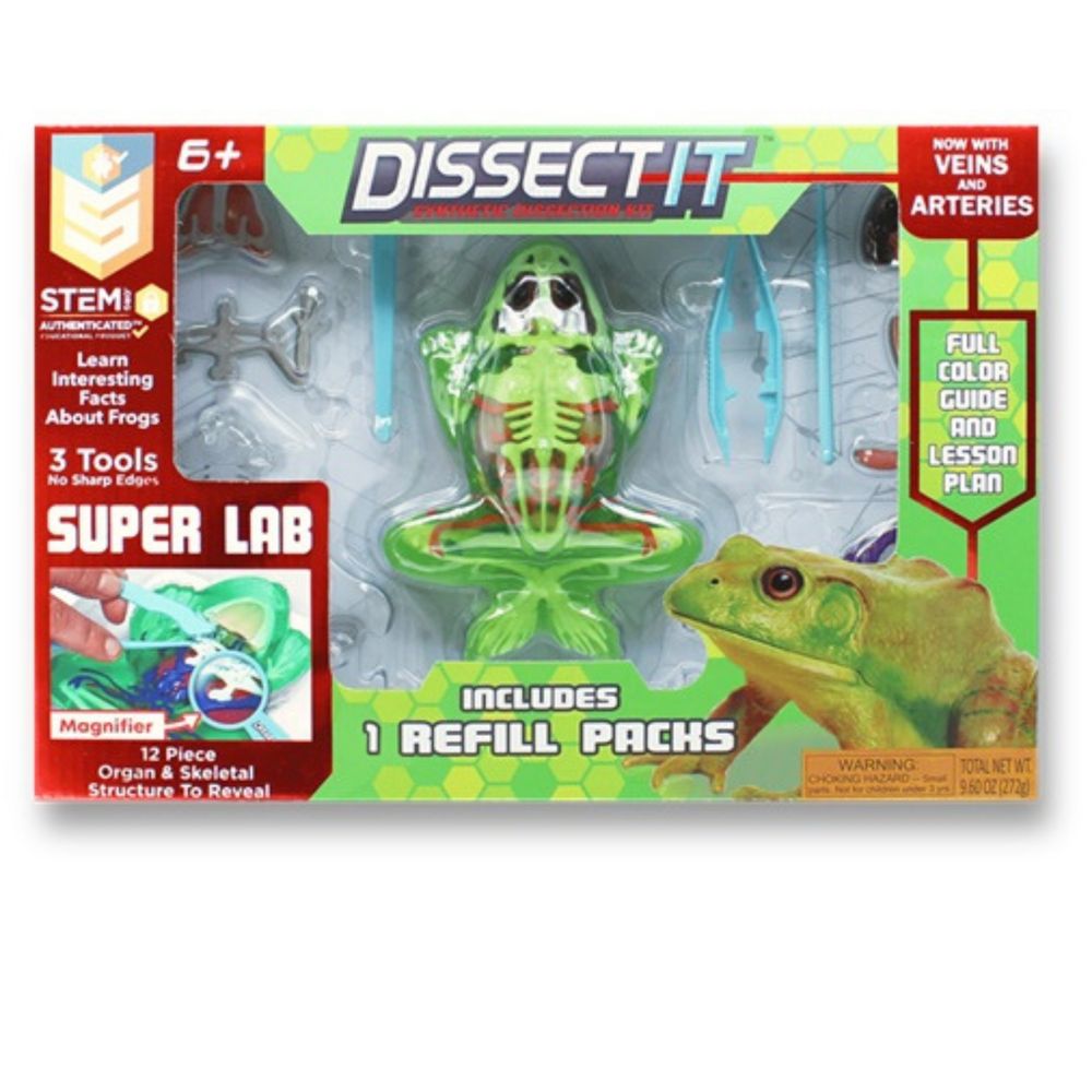 Kit De Disección Sintética Rana Grande Dissect It | Oechsle.pe - Oechsle