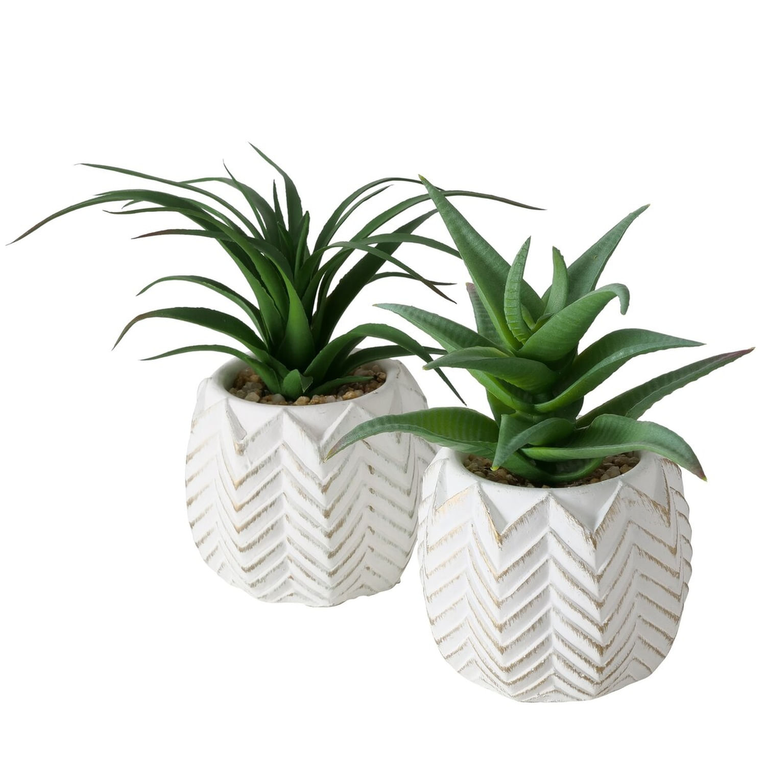 Planta Pot Aloe Vera 14 Cm