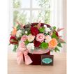 imageUrl_1