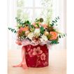 imageUrl_1