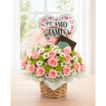 imageUrl_1