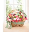 imageUrl_1