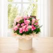 imageUrl_1