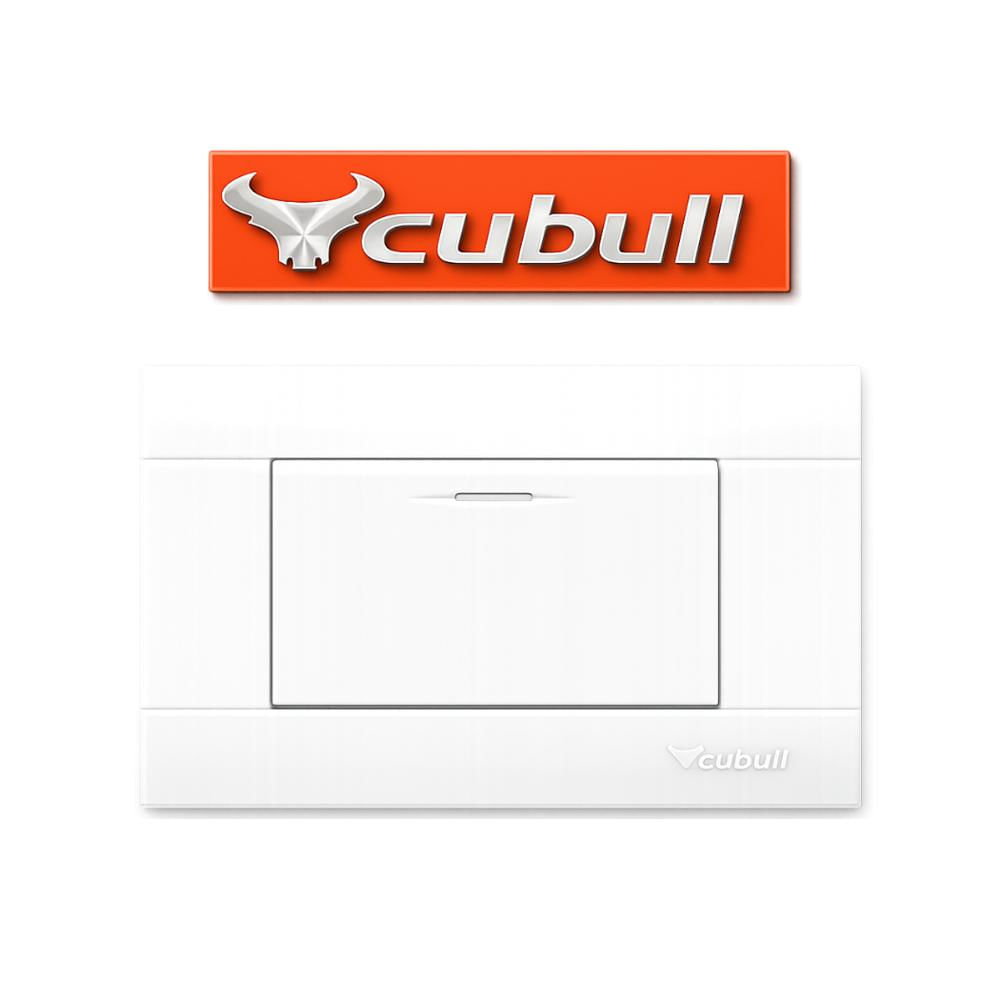 CAJA DE 10 INTERRUPTORES SIMPLES EMPOTRABLES BLANCO