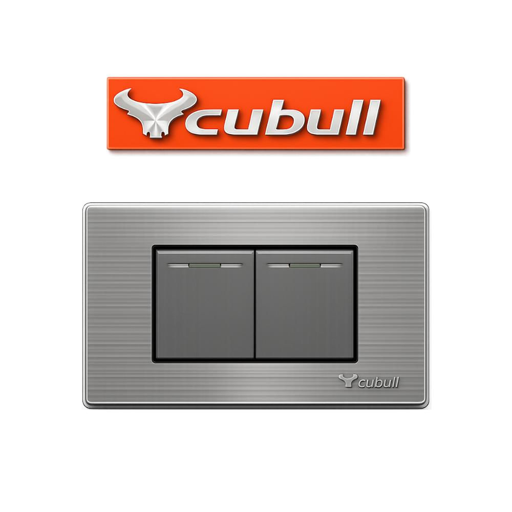 CAJA DE 10 INTERRUPTOR DOBLE EMPOTRABLE PLATEADO