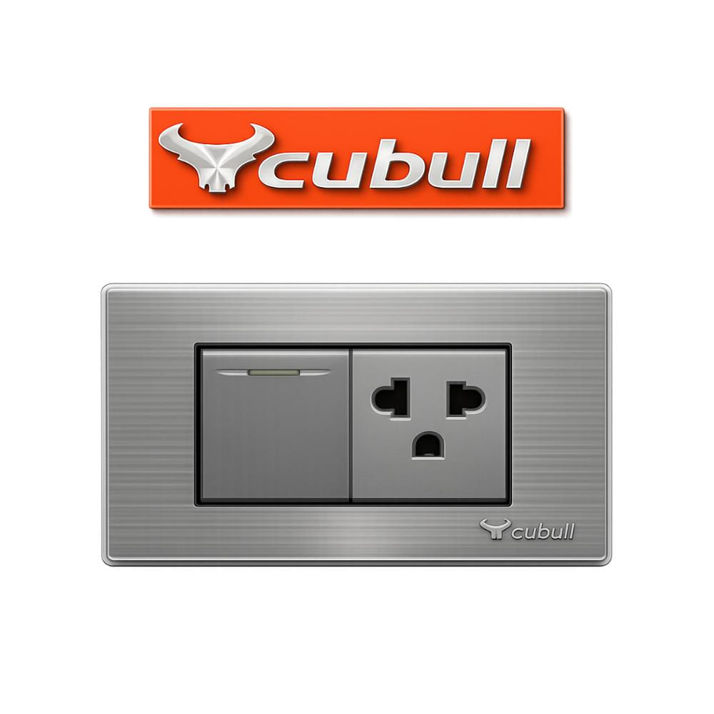 CAJA DE 10 INTERRUPTOR Y TOMACORRIENTE EMPOTRABLE PLATEADO
