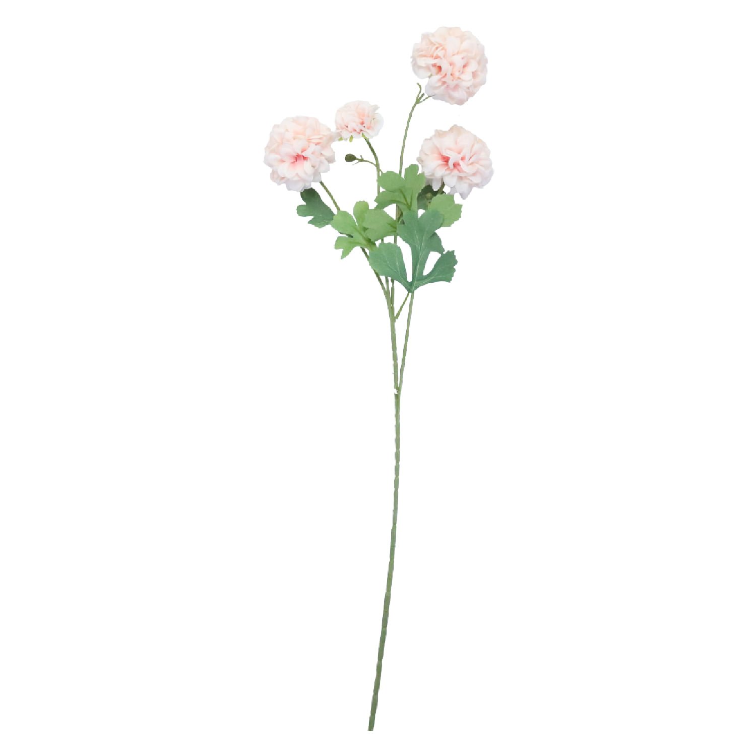 Clavel Rosa 75Cm