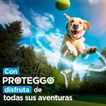 imageUrl_4