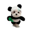 imageUrl_2