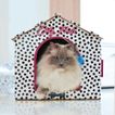 imageUrl_4