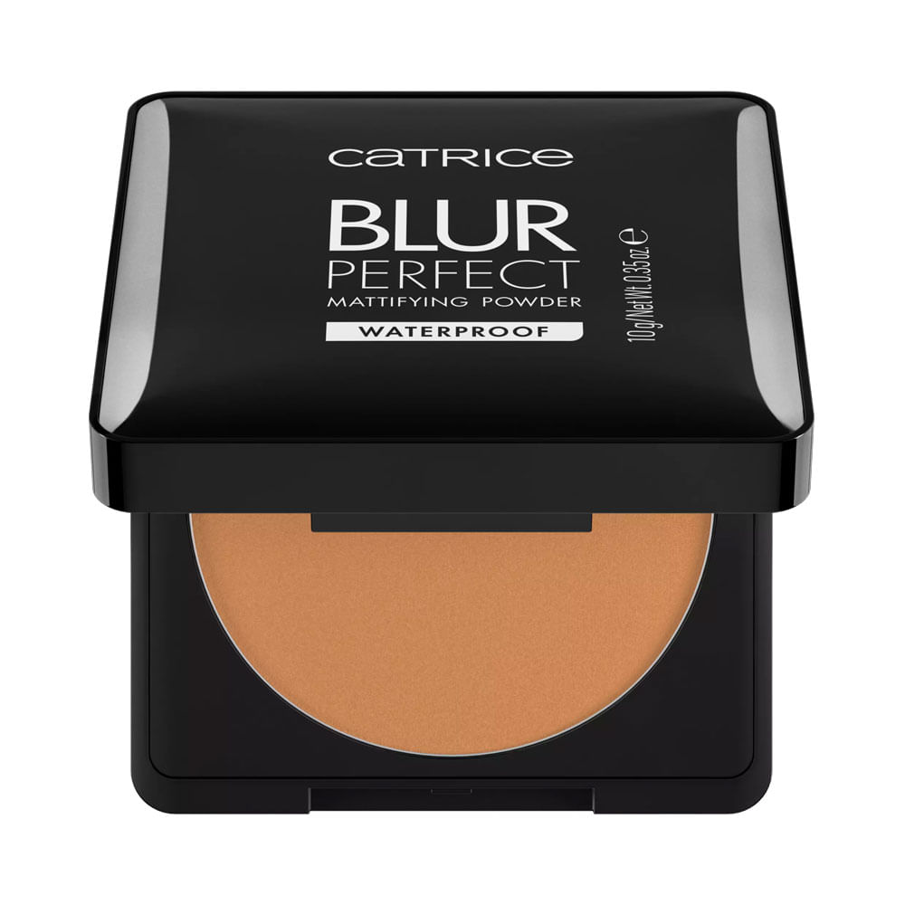 Polvo Matificantes Catrice Blur Perfect Waterproof 040
