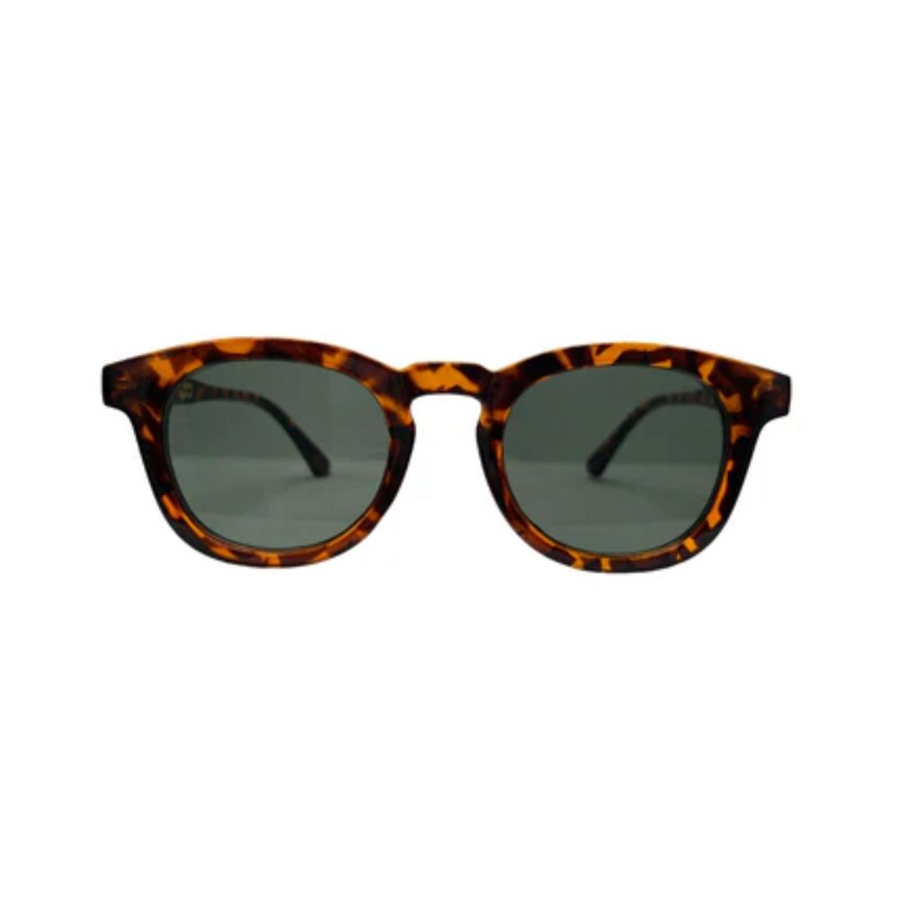 Lentes de Sol Blinders Animal Print Modelo Animal Print Lippi