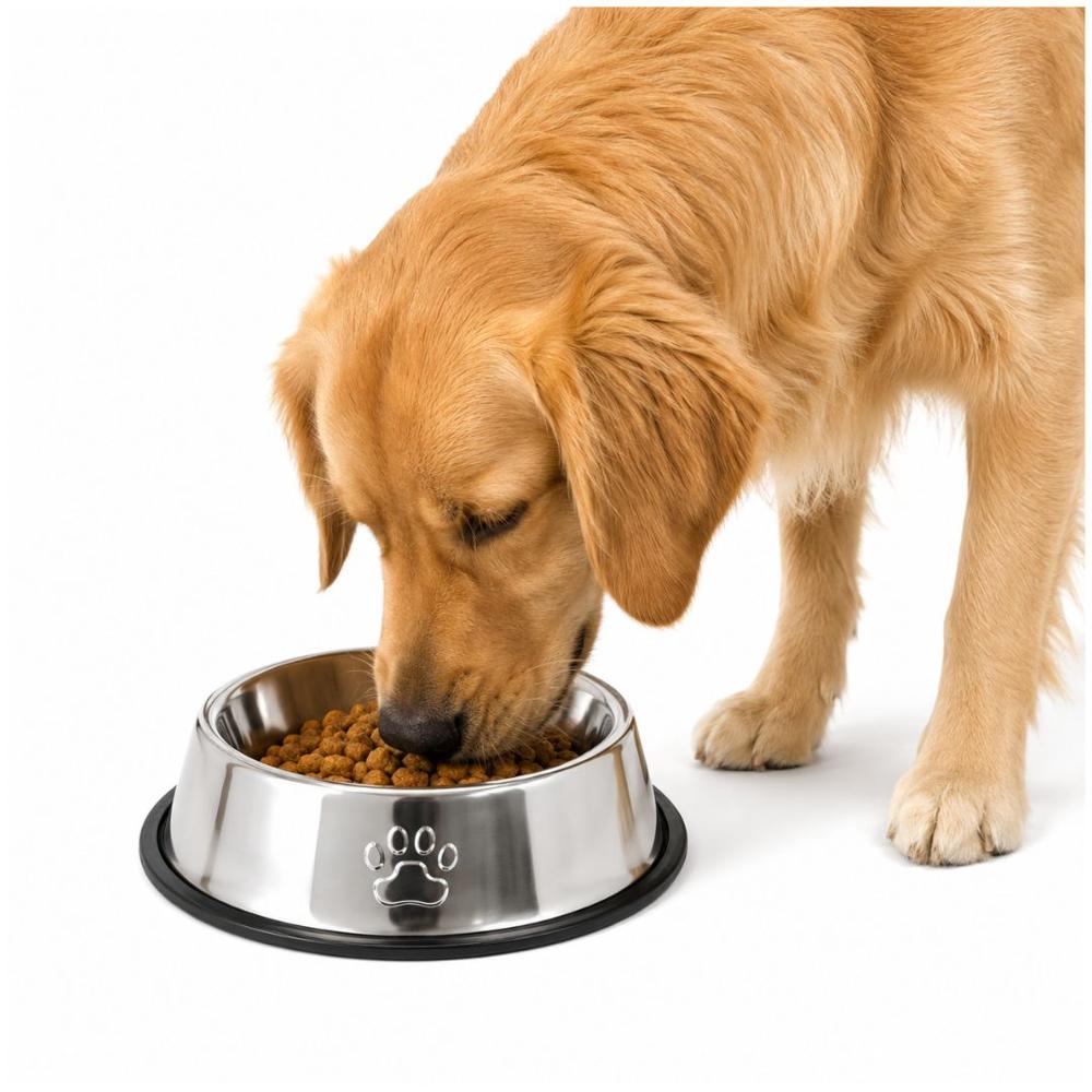Plato Comedero para Mascotas 33cm Acero Inoxidable Antideslizante Perros y Gatos