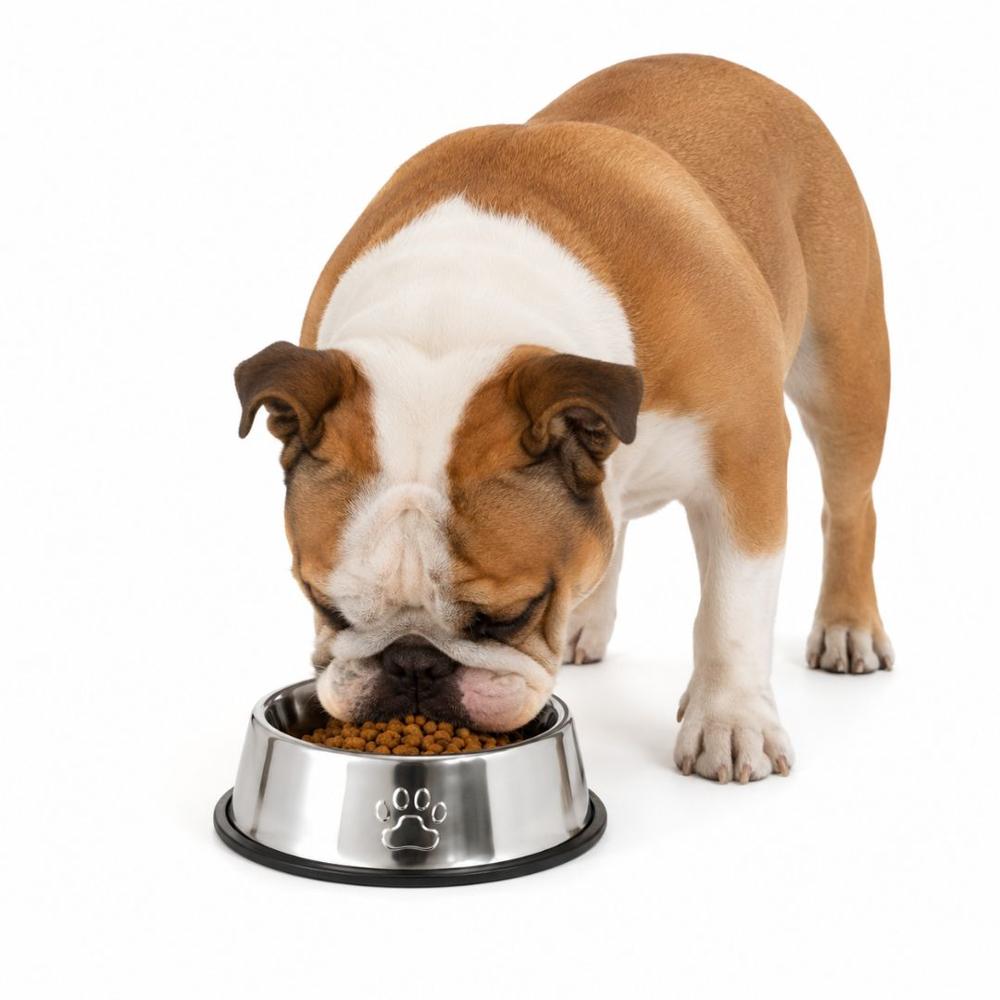 Plato Comedero para Mascotas 30cm Acero Inoxidable Antideslizante Perros y Gatos