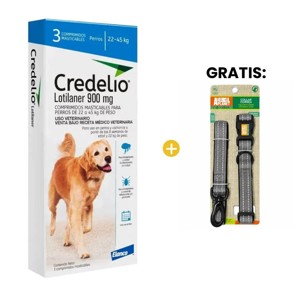 Image-1 Image-1