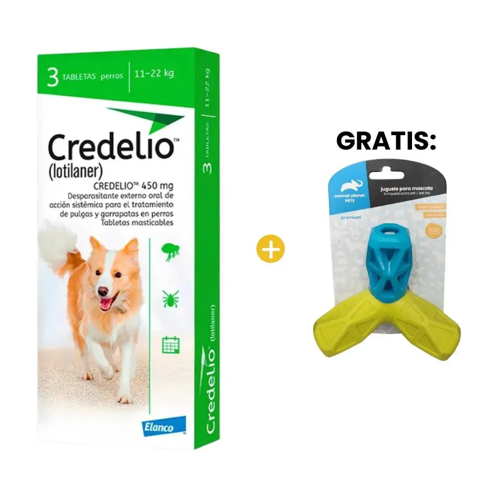 Image-1 Image-1