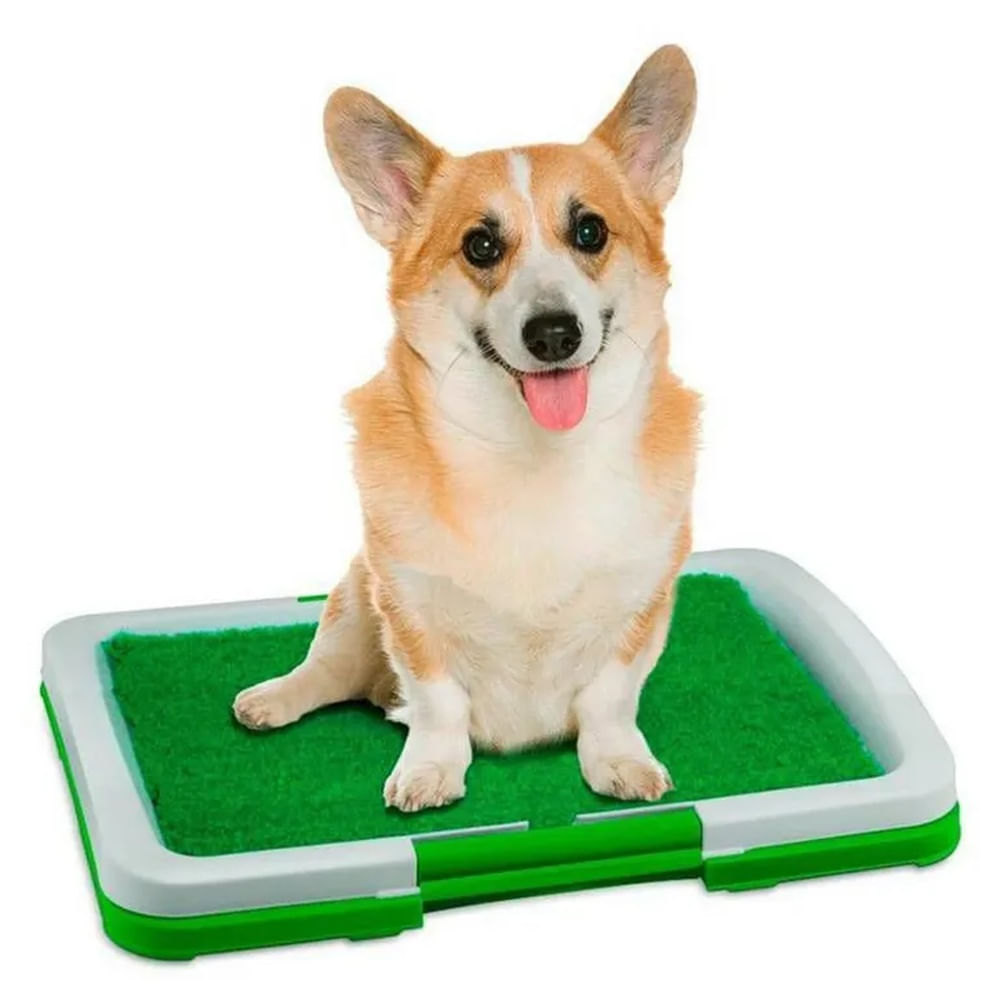 Baño Ecologico Entrenador Para Mascotas Perros Urinario