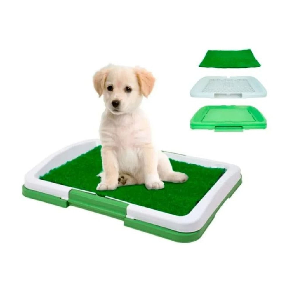Bandeja con Grass Sintetico Entrenador para Mascotas Lavable Portatil Multicolor