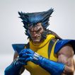 imageUrl_7