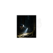 imageUrl_8