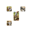 imageUrl_4