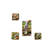 imageUrl_3