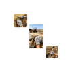 imageUrl_3