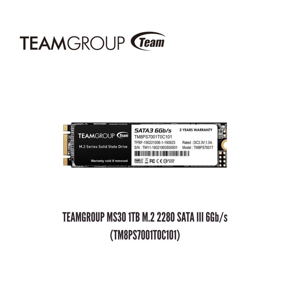 UNIDAD EN ESTADO SOLIDO TEAMGROUP MS30 1TB M.2 2280 SATA III 6GB-S