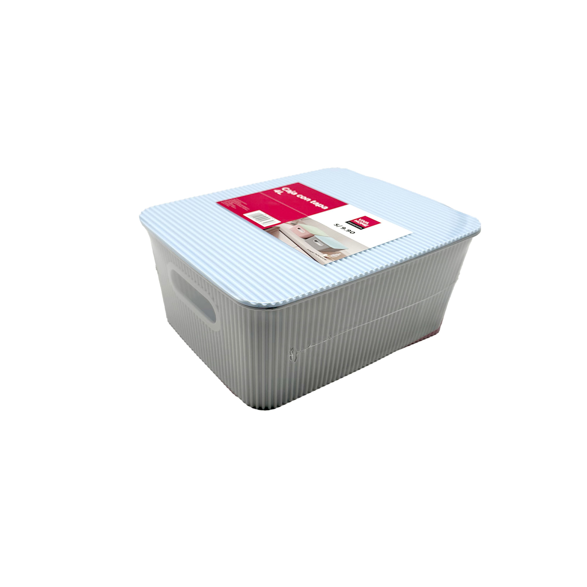 Caja VIVA HOME Con Tapa Surtido 4L