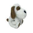imageUrl_6